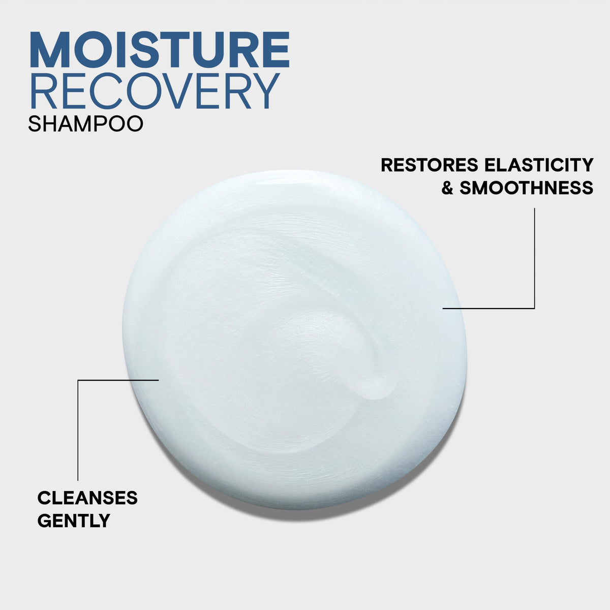 Joico Moisture Recovery Shampoo for Dry Hair, Moisturizing Shampoo for Dry Damaged Hair with Keratin 🍁 All In One Marketplace Canada