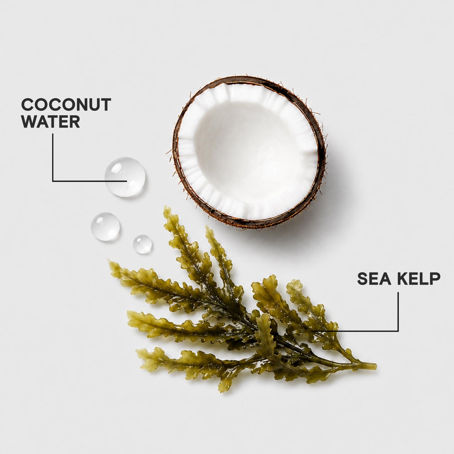 Joico HydraSplash Hydrating Conditioner for Fine to Medium Hair, Moisturizing Dry Damaged Hair with Keratin & Coconut Oil 🍁 All In One Marketplace Canada