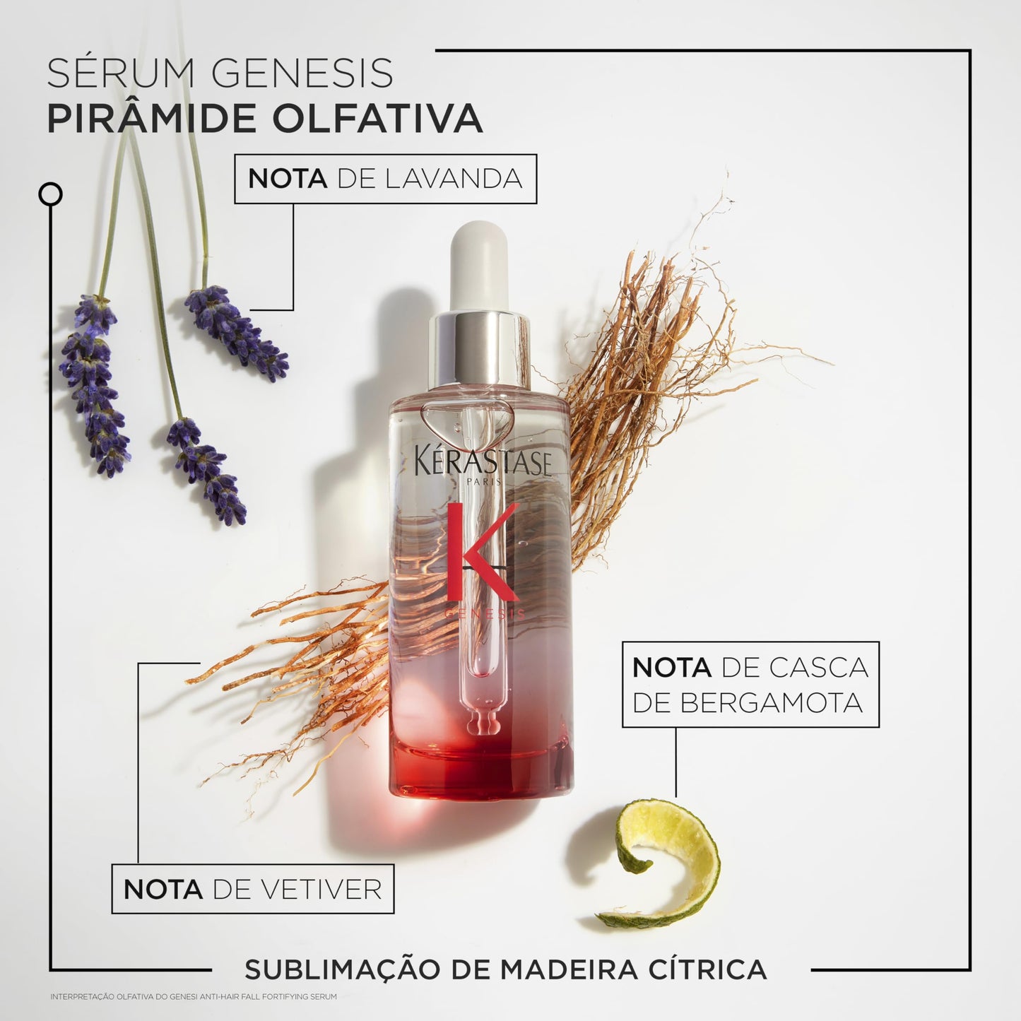 KÉRASTASE Genesis Fortifying Serum - Strengthens & Reduces Breakage - Lightweight No-Rinse Formula - Aminexil, Ginger Root & Caffeine - Fine & Fragile Hair Prone to Loss - 30 ml 🍁 All In One Marketplace Canada