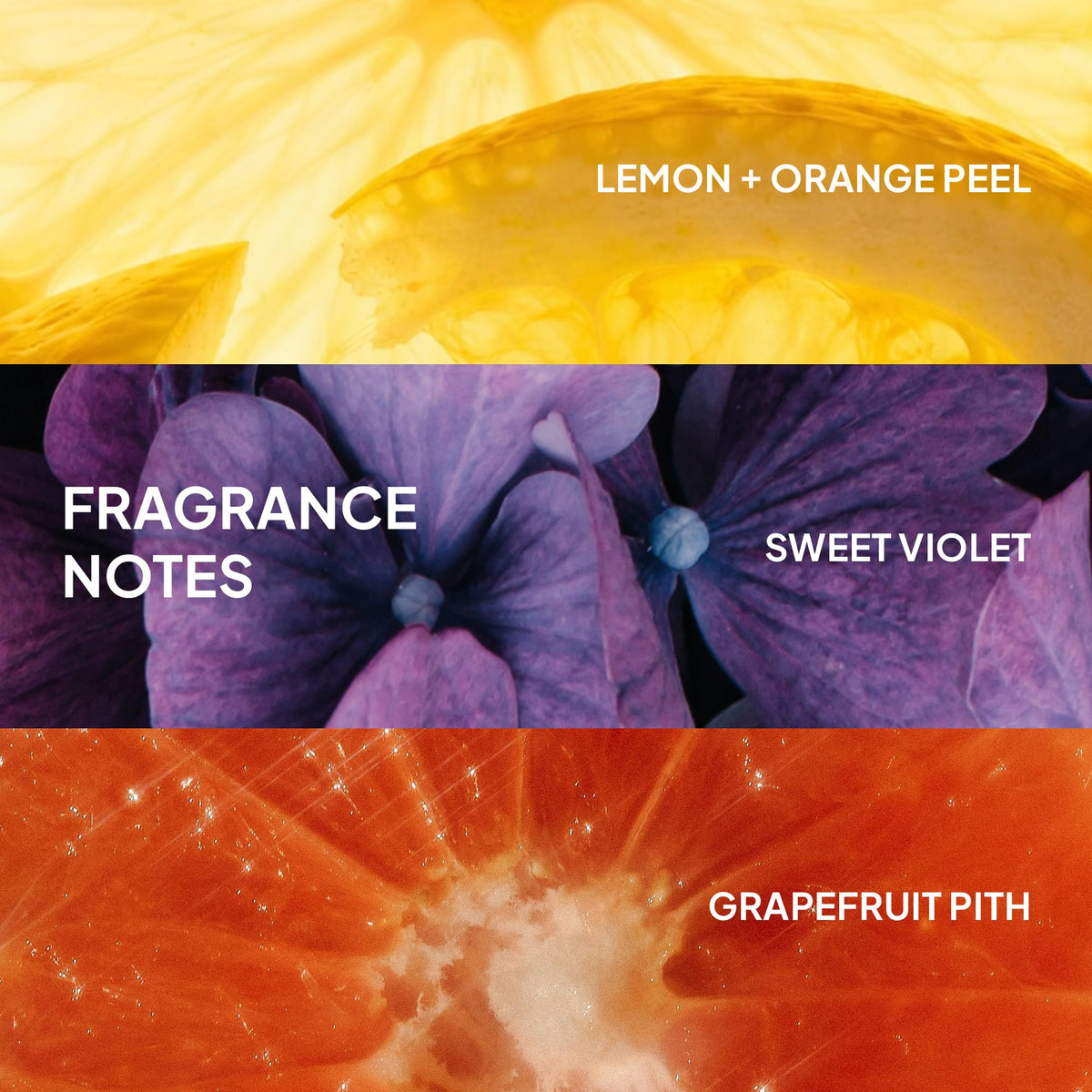 New Verb Ghost Shampoo, Vegan Color-Safe Shampoo Infused with Moringa Oil, Cleanses Fine and Weighed Down Hair (32 fl oz) 🍁 All In One Marketplace Canada