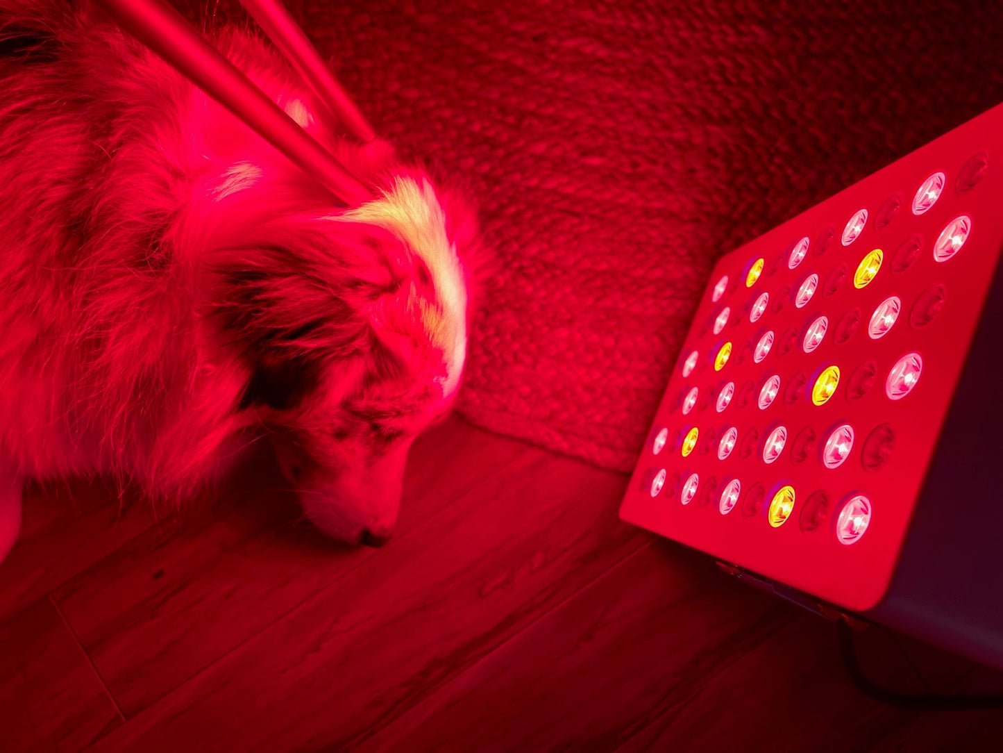 Kivo Vital 300: Portable Small Red Light Therapy Panel